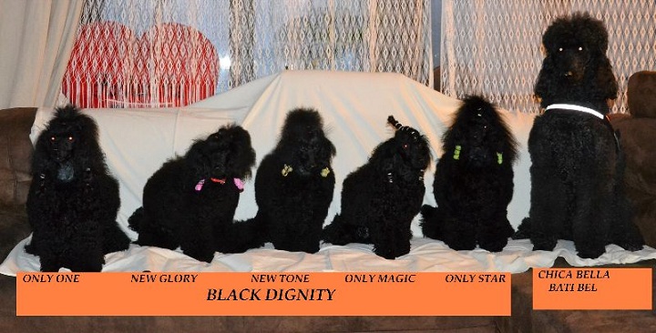 Black Dignity - spotkania rodzinne